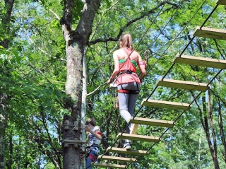  Ladder between the trees 